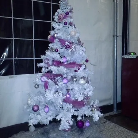 Alice 3* 切萨纳·都灵尼斯